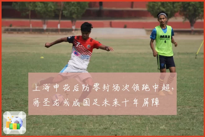 上海申花后防零封场次领跑中超,蒋圣龙或成国足未来十年屏障