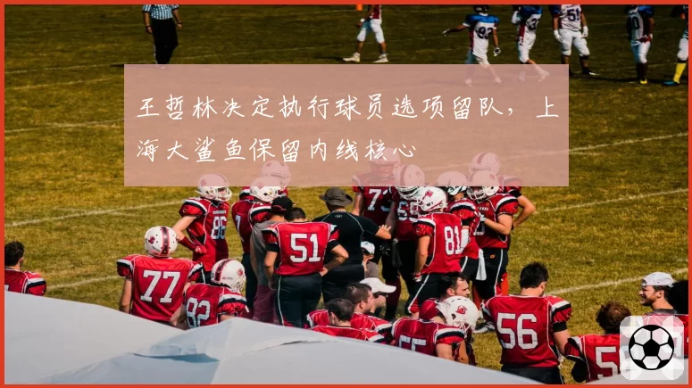 王哲林决定执行球员选项留队,上海大鲨鱼保留内线核心