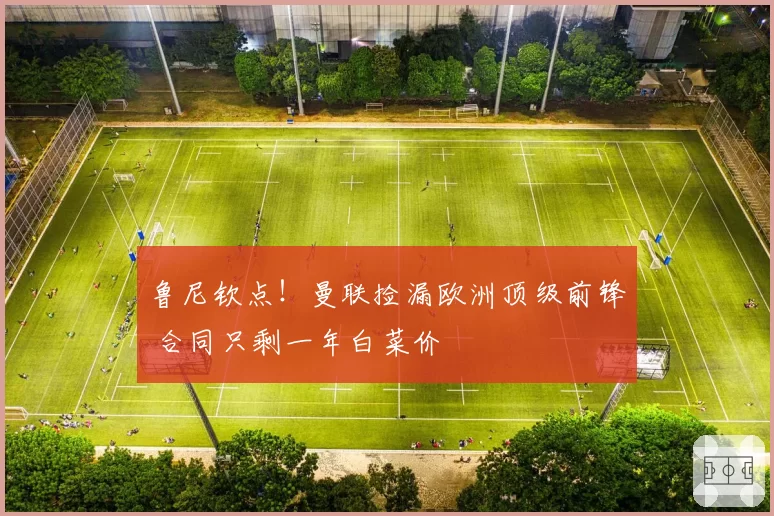 鲁尼钦点！曼联捡漏欧洲顶级前锋 合同只剩一年白菜价